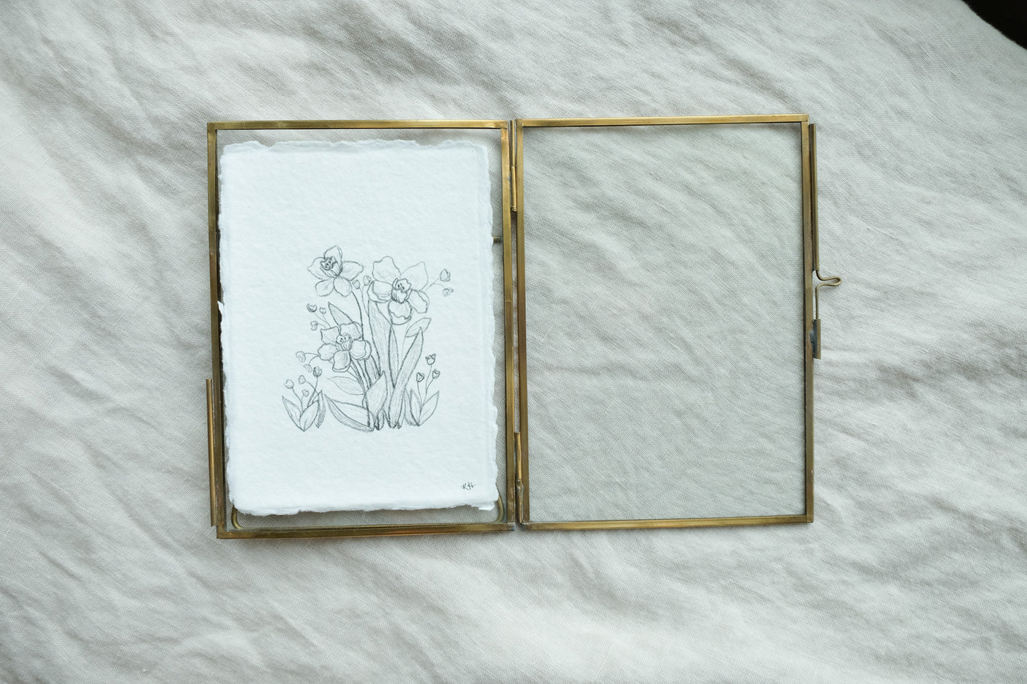 Daffodil Study