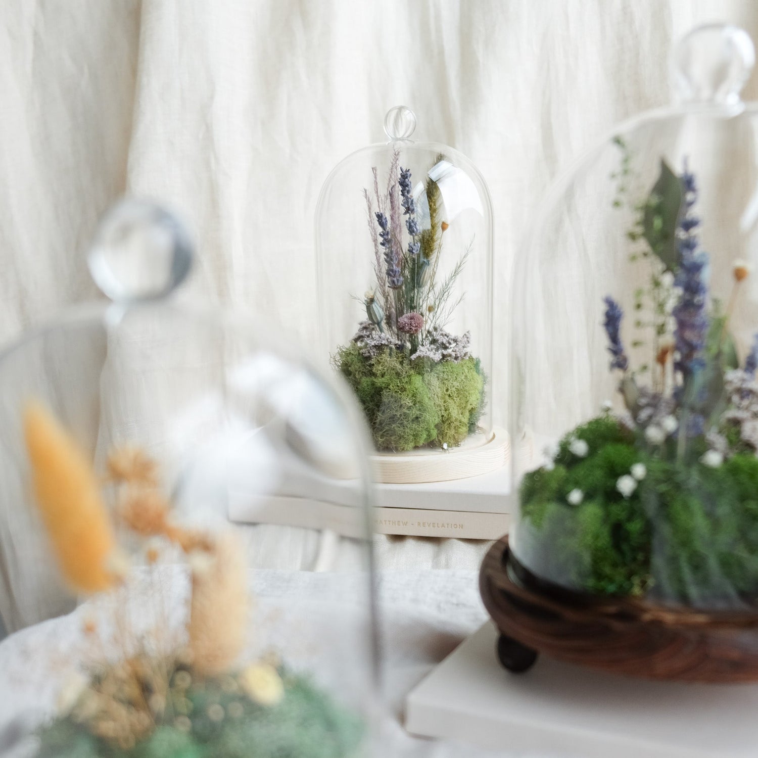 Whispers of the Wild - Botanical Terrariums