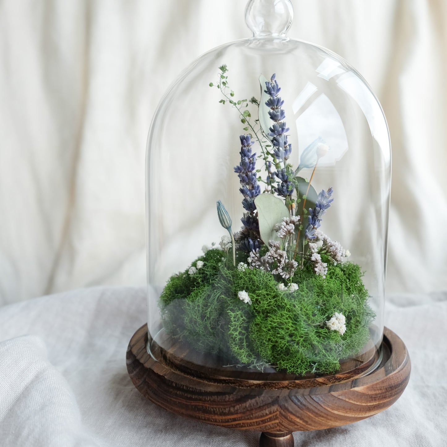Woodland Reverie - Botanical Terrarium III