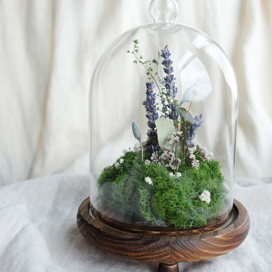 Woodland Reverie - Botanical Terrarium III