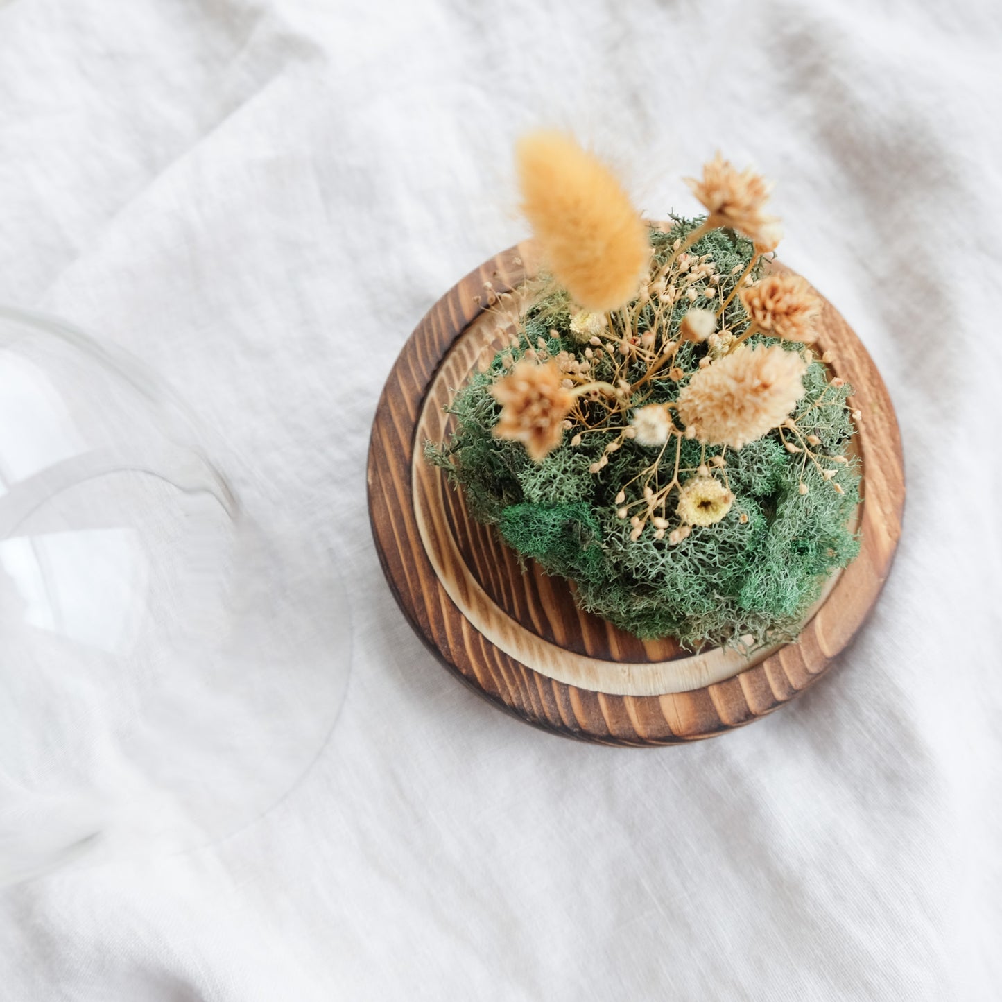 Autumn Moments - Botanical Terrarium I