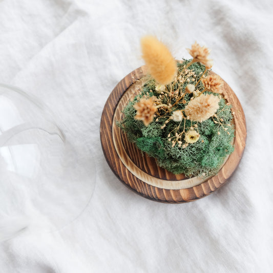 Autumn Moments - Botanical Terrarium I