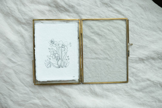 Daffodil Study
