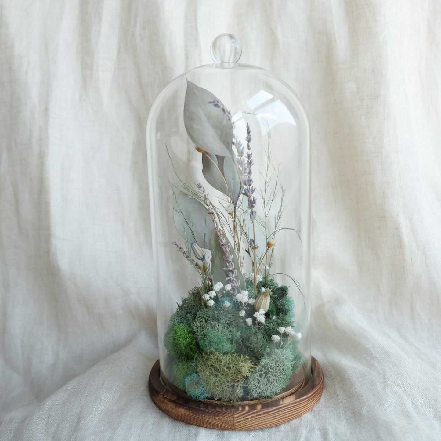 Woodland Reverie - Botanical Terrarium I