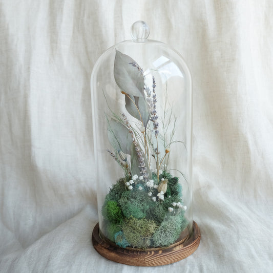 Woodland Reverie - Botanical Terrarium I