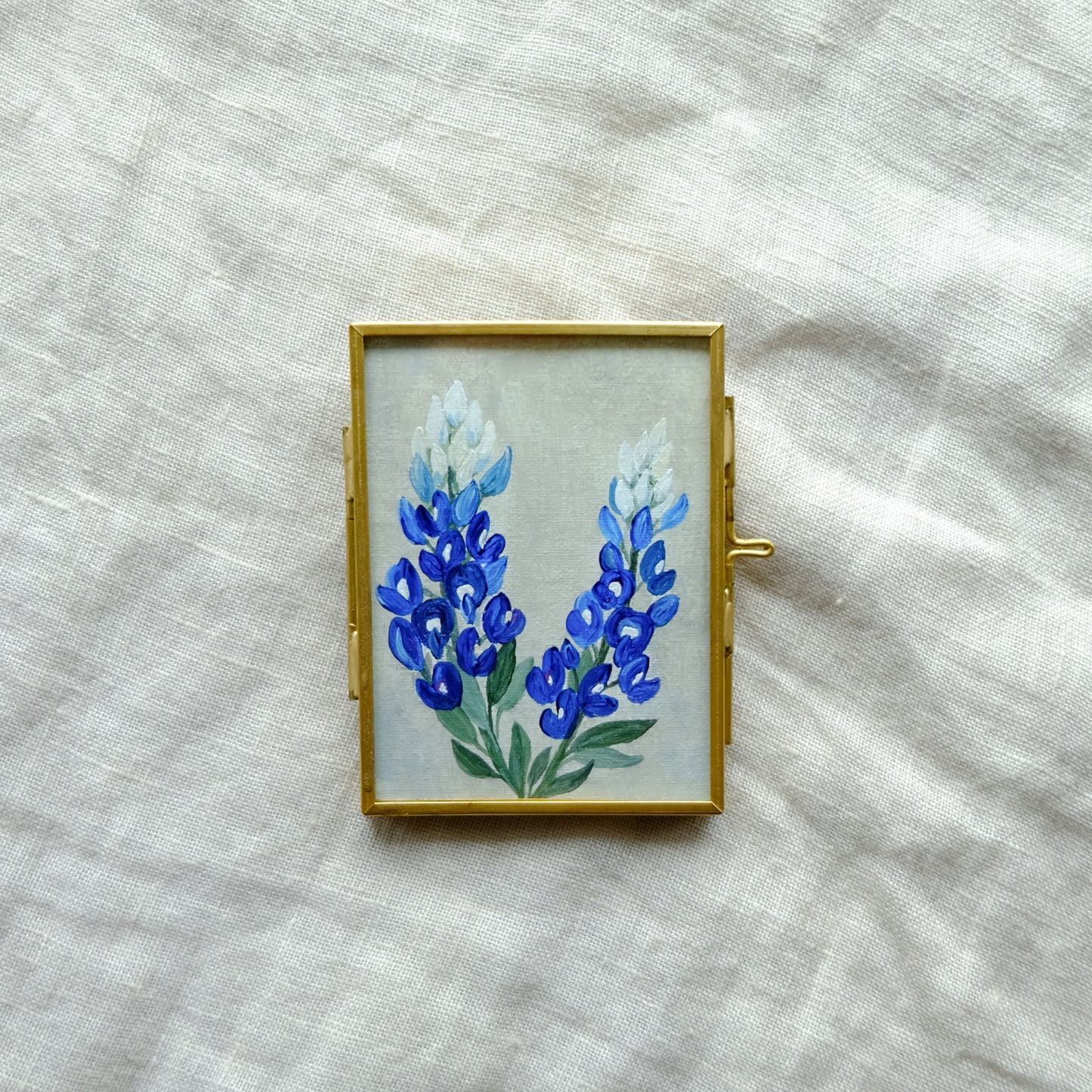 Mini Texas Bluebonnets